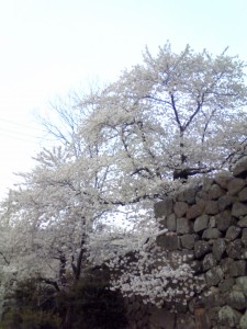 201104271732000