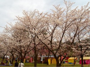 村松