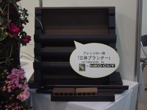 DSC00194