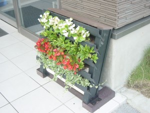 DSC00507