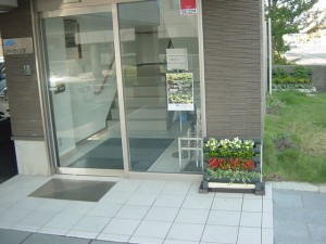 DSC00510