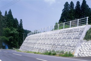 P73