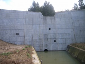 R0013307