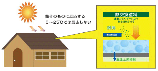 neocoat07 neocoat07