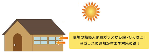 neocoat10