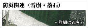 防災関連(雪崩・落石)