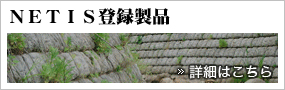 NETIS登録製品