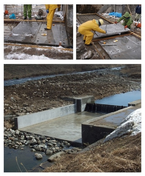 pic_ductal-form_2
